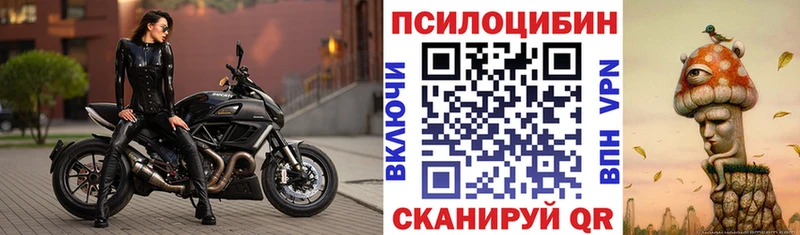купить   Тара  Галлюциногенные грибы Psilocybe 
